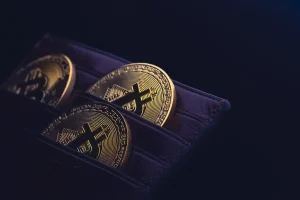 multi-currency crypto wallet